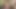 Travesti güzel yarağa fışkırtmayı bırakamıyorum