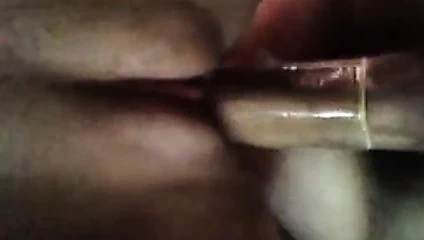 Sıkı küçük kedi