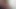 XFraggle New piss Vid