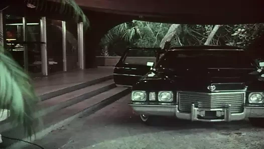 gelinin inisiyasyonu (1976)