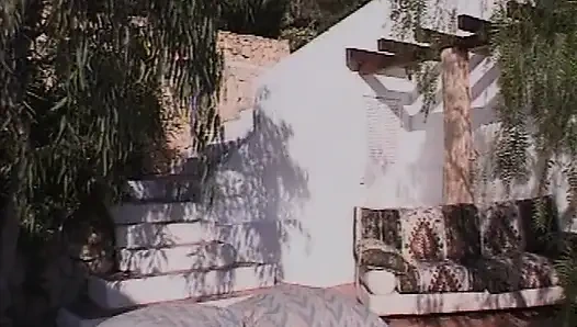 Bir sürü meme - bir sürü kedi - bir sürü horoz dışarıda sikilmek istiyor