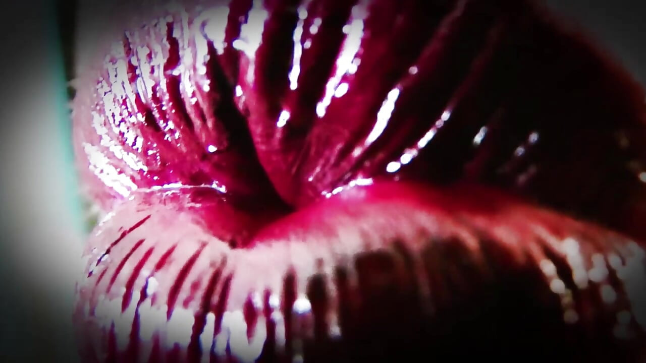 Öpüşmeye zorlanıyor (bölüm 5)