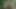 Açık hava aksiyonu kameramanımı azgın yapıyor