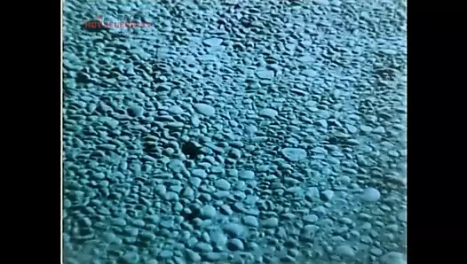 Zuhal Olcy - Amansiz Yol 1985