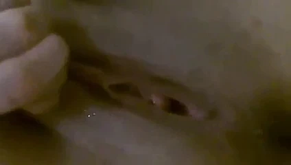 Çıplak genç ıslak kedi