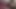 Kız öğrenci komşum porno videosu kaydetmemizi istiyor! Sınıfa gitmeden önce yapmak istiyorum!!