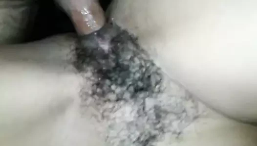 lanet göt ve güzel kıllı KEDİ