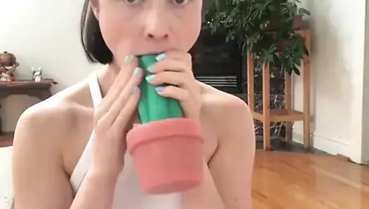 kaktüs oyuncak boğazlama girişimi