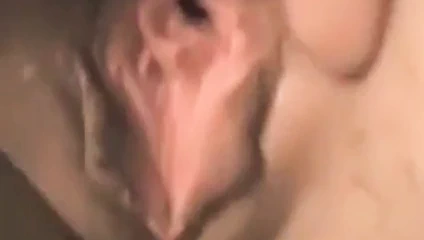 will einen dicken Schwanzz