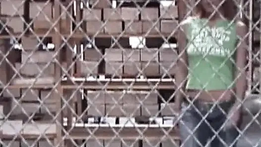 It's My Party Vol. 1 - Heiße Sexabenteuer