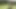 Geile Sau darf nur zum ficken raus