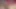 Lizzie Daniels uygulamasında iki oyuncak sipariş ediyor