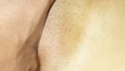 Hint yenge kedi ilk zaman