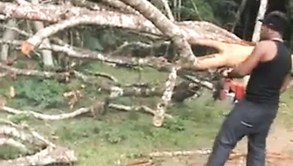 Daniela Perdida No Mato#