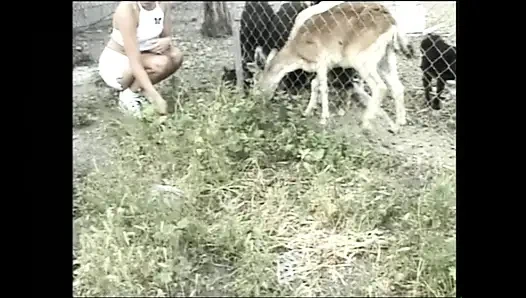 KUKEN 6 (Full Movie)