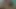 Transeksüel milf pov oral seks