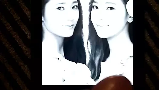 Jungsis cum tribute