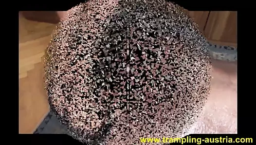 çiğneme denizaltıları