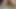 Eyersiz kıllı guatemala kedi Creampie
