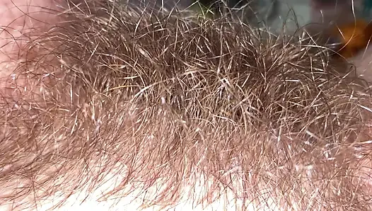 Brushing My Bush
