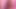 Pembe Oda Aşıkları