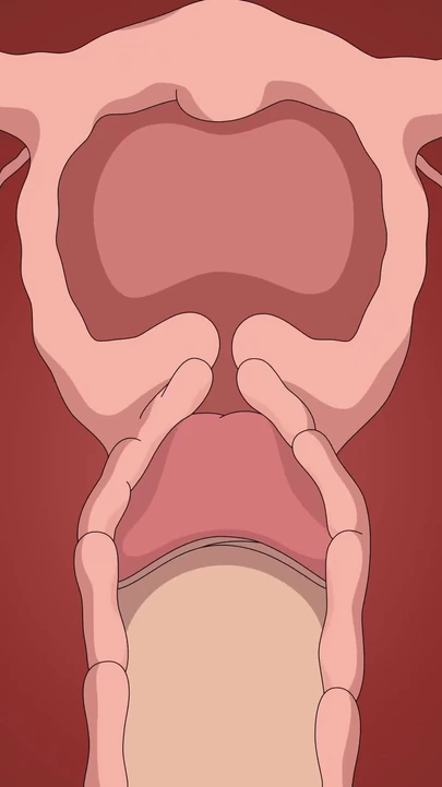 Завораживающий момент из "ВИДЕО NARUTO TSUNADE ХЕНТАЙ БЕЗ ЦЕНЗУРЫ"