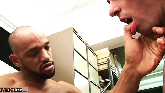 Bulldogxxx.com - üç alfa adam iş başında