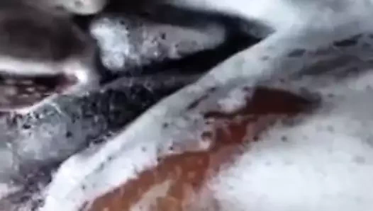 Afrikalı piliç banyo yapıyor.