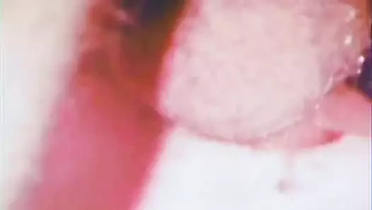 adam alır fucked (1970s vintage)