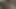 Küçük ama güçlü: palet takımının eski ası