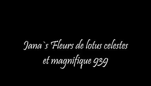 Fleurs de lotus celestes et magnifique 939