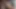 Hitomi Oki'nin patlamalı seks seansı öncesi yoğun Japon oral seksi
