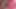 Pinky dildo
