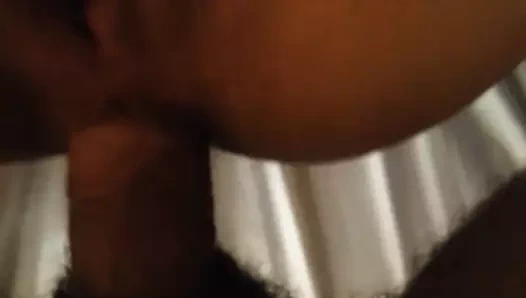 içindeki her şeyi çivilemek