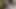 Dövmeli transeksüel alma becerdin gibi bir köpek