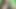 Ajina menon seksi büyük boob tik tok aktris pic 2