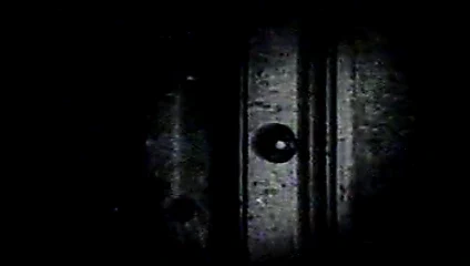 Görünmeyen dünyanın harikaları - vintage