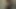 Kızıl saçlı tania'nın eşek ve kedi içinde iki horoz!