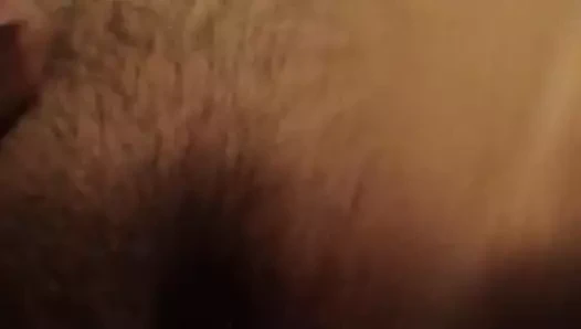 oyun ile benim eski hanımları KEDİ