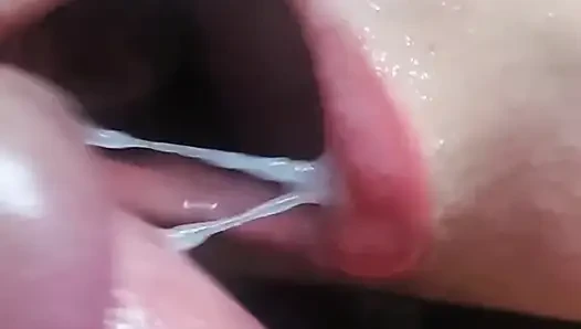 Linda Dherlydoll için finişler derlemesi