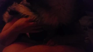 Dreamkitty, beyaz kürklü, tittyfuck ve oral seks