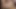 Klas kedicikler sahne 3_busty lezbiyen arkadaşlar yeni takma yaraklarını birlikte deniyor