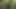 Fuck and Suck BIG Tits Stranger in Woods