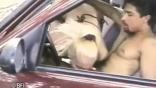 Brasil trans tutkusu 3