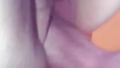 lanet üzerinde web kamerası