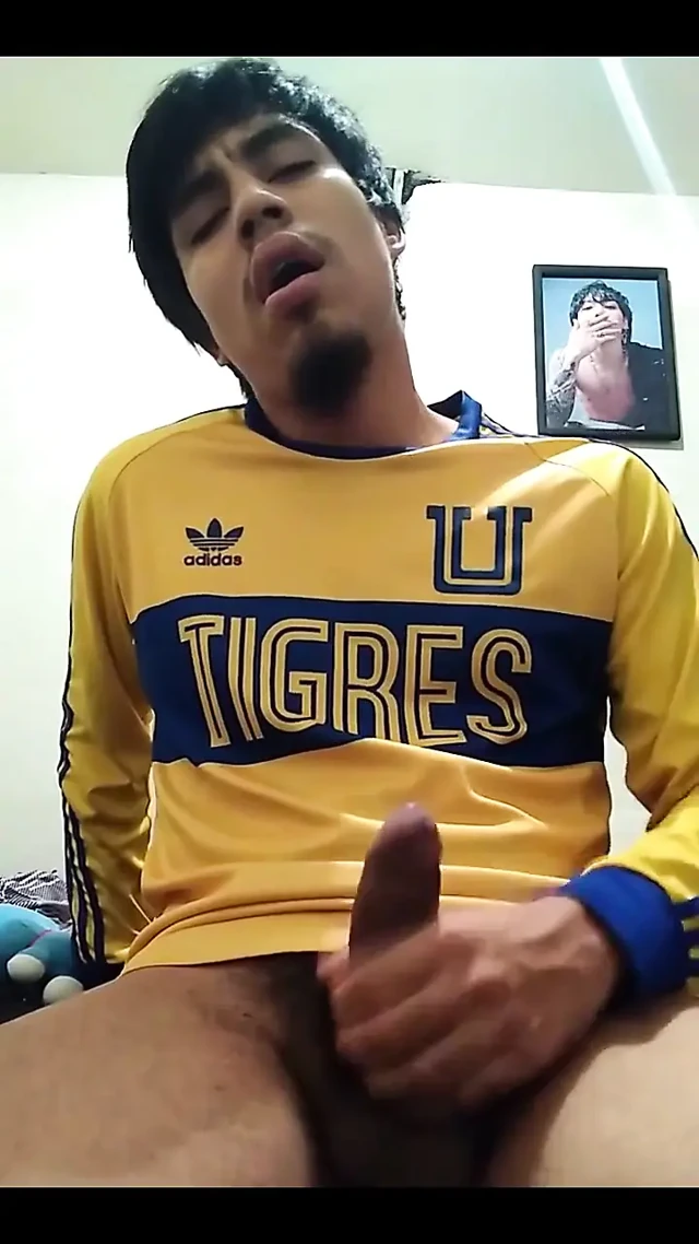 Hadi Tigres, zengin olarak döneceğim.