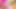Parlak çıplak külotlu çorap ve neon pembe azdırma