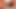 Leoy ve Furby birbirlerinin ayak parmaklarını ve yaraklarını emiyor