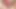 Kahrolası benim kedi ile benim favori pembe yapay penis