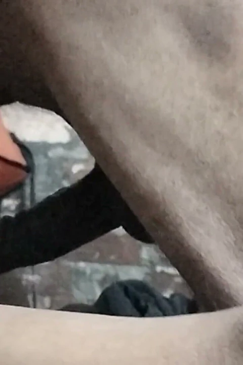 Üvey kız kardeşinin odasına girdi ve onu sikti